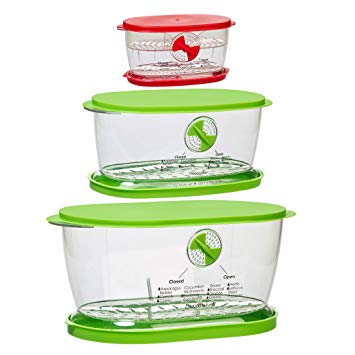 Prepworks by Progressive 4.7 Quart Lettuce Keeper, 1.9 Quart Fruit and Vegetable Keeper and 2 Cup Berry Keeper 3 Piece Set