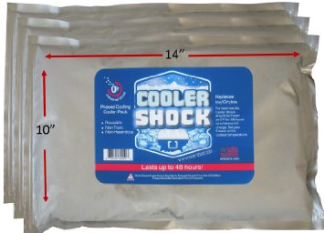 3 Lg Cooler Freeze Packs 10x14 - No More Ice Cooler Shock Replaces Ice and Is Reusable