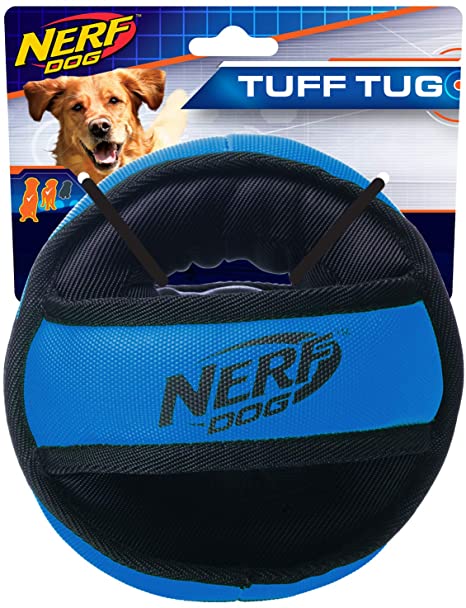 Nerf Dog Chewable Ball Dog Toy with Interactive X-Ring Design, Lightweight, Durable and Water Resistant, 6.5 Inch Diameter for Medium/Large Breeds, Single Unit, Blue