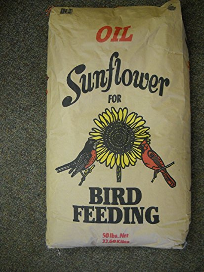 Shafer seed BCGEN50 Sunflower Seed 100% Oil - 50 lbs