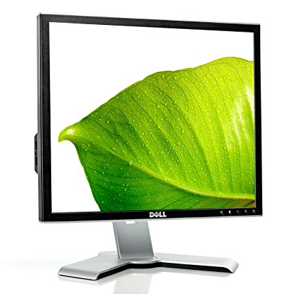 Dell 1708FPt 17-inch Flat Panel Monitor Rotates to Portrait or Landscape View (Black/Silver)