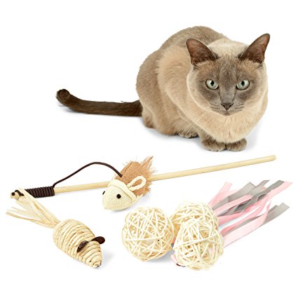 Cat Toys Variety Pack (Includes One Plush Interactive Feather Wand, Three Wicker Bell Balls and One Mouse Rattle Chew)
