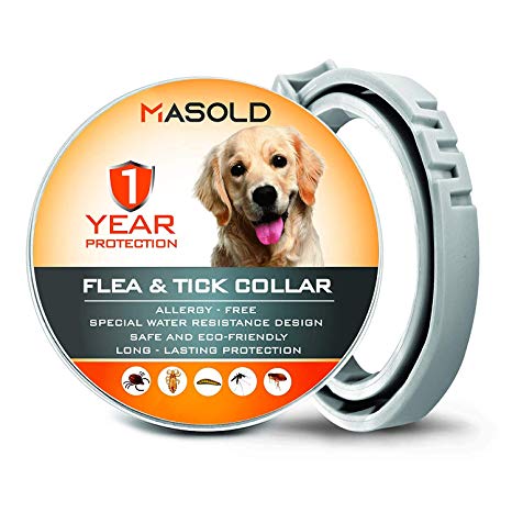 MASOLD Dog Flea and Tick Control Collar - 12 Months Flea and Tick Control for Dogs - Natural, Herbal, Non-Toxic Dog Flea Treatment - Waterproof Protection and Adjustable Best Flea Collar for Dogs