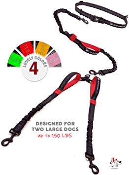 Pet Dreamland Hands Free Leash - for One/Two Medium to Large Dogs (up to 150lbs) - Running/Hiking/Dog Training - Heavy Duty Extra Long Bungee Lead - Waist Leashes for Dogs (Two Dogs, Black & Red)