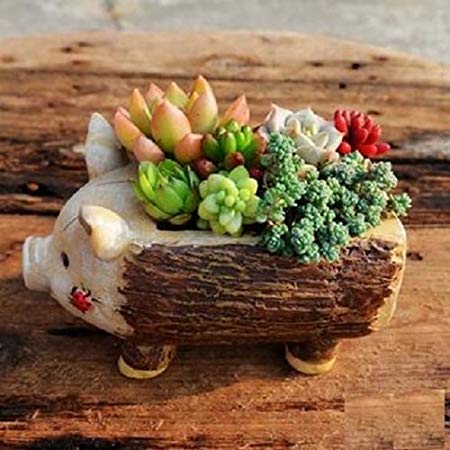 Youfui Cute Animal Shaped Cartoon Home Decoration Succulent Planter Flower Pots (pig)