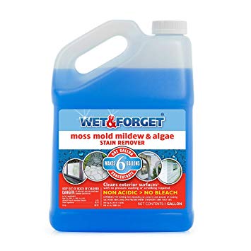 Wet and Forget Moss, Mold, Mildew & Algae Stain Remover, 1 Gallon Concentrate Makes 6 Gallons