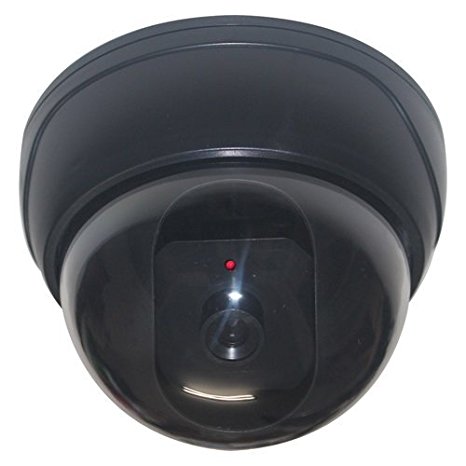 Aleko® D01 Dummy Fake Imitation Security Camera with Flashing Light LED Cost-effective Security CCTV Simulated Dome Camera