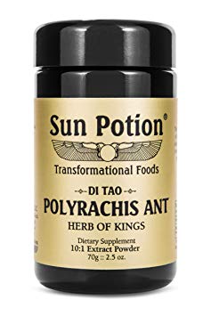 Polyrachis Ant Powder by Sun Potion - Black Ant Wildcrafted 10:1 Extract, Qi Tonic, Dietary Supplement - Highest Levels of Zinc - Strengthens Immune System, Anti-Aging, Boost Energy - 70g Jar