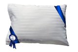 Travel-Toddler Pillow WITH PILLOWCASE Car Airplane Kids Bedding Floor Nursery Perfect Size and Fluff Cuddle Cloud Hypoallergenic Cotton Shell Perfect Fit Anti Wrinkle Sateen Case 1995 value