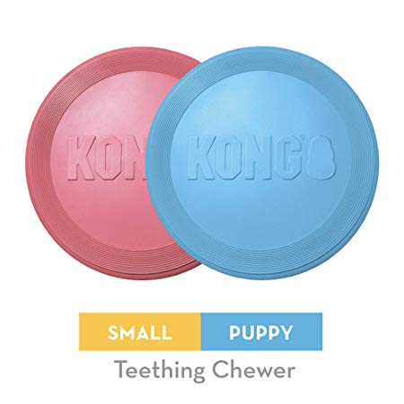 KONG Puppy Flyer Dog Toy, Small (Assorted Colours)