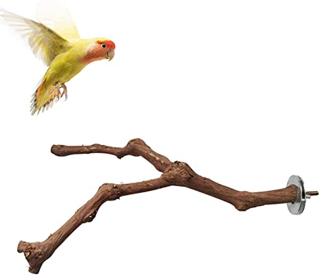 kathson Parrot Perches, Birds Stand Pole Natural Wild Grape Stick Grinding Paw Climbing Standing Cage Accessories Toy Branches for Parakeet, Budgies, Lovebirds