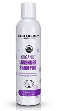 Dr Mercola Organic Lavender Shampoo For Dogs - 1 Bottle (8 oz) - Ideal For Dogs With Sensitive Skin - Made In USA - Premium Natural Pet Care Products