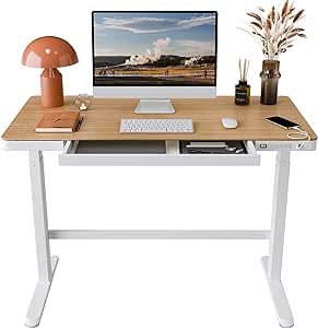 FLEXISPOT Electric Standing Desk with Drawer Storage Adjustable Height Quick Assembly Table w/USB Charge Ports, Child Lock （Natural Desktop   White Frame）