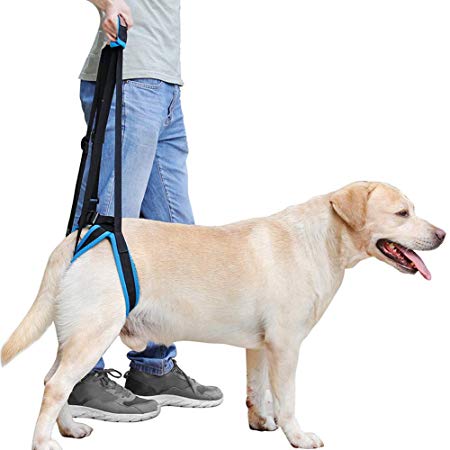 Rantow Adjustable Pet Dogs Lift Support Harness Breathable Mesh Padded Sling Straps Canine Support Rehabilitation for Injuries Arthritis Weak hind Legs & Joints, Blue