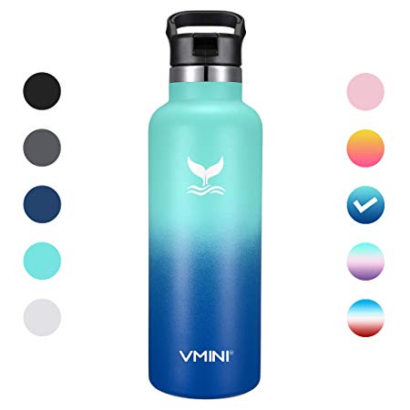 Vmini Water Bottle - Standerd Mouth Stainless Steel & Vacuum Insulated Bottle, New Straw Lid with Wide Handle, 22 oz