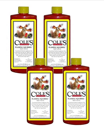 Cole's Flaming Squirrel Seed Sauce, Super Hot and Spicy Nutritional Birdseed Supplement Contains All-Natural 100% Food Grade Liquid Chili Pepper Soybean Oil Ingredients, 16 oz (Pack of 4)