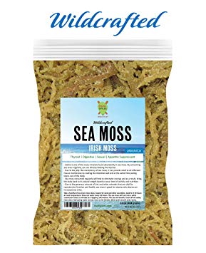 Dualspices Fresh Premium Superfoods Irish Moss/Sea Moss 16 oz - 100% Natural Wildcrafted - Non GMO - Vegan - Raw Directly from JAMAICA