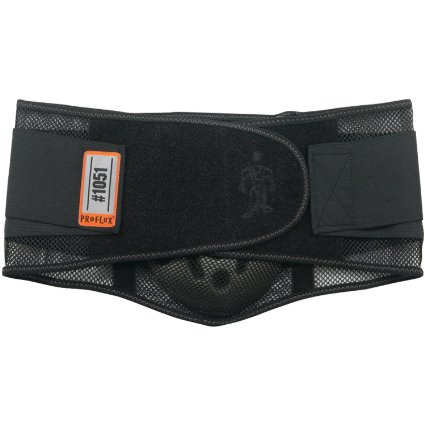 Ergodyne ProFlex® 1051 Mesh Back Support