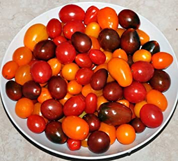 THIS IS A MIX!! 30  Cherry Tomato Mix Seeds 10 Varieties Heirloom NON-GMO, US Grown! Black Cherry, Red Pear, Yellow Pear, Black Truffle, Sungold, Indigo Apple Tomatoes