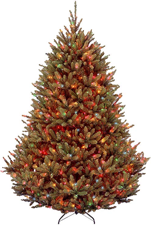 National Tree 7.5 Foot Natural Fraser Fir Tree with 1000 Multicolor Lights, Hinged (NAFFMH1-75RLOS1)