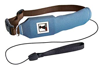 Rad Dog Release N Run Dog Leash and Collar | Walking, Hiking, Running | Built-In Retractable Leash, Dogs Up To 100lbs, Durable Nylon Collar | Live Un-Leashed!