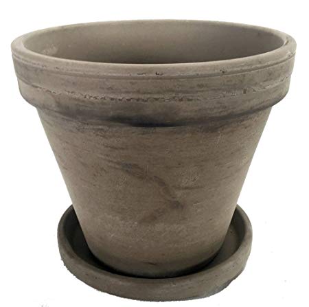 6" Basalt Clay Pot with Saucer - Great for Plants and Crafts
