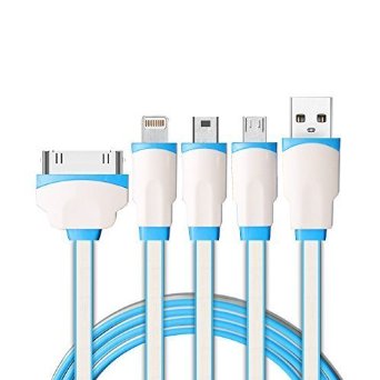 Multi Charger, 4 in 1 USB Charging Cable Adapter Connector with 8 Pin Lightning / 30 Pin / Micro USB 2.0 / Mini USB Ports for iPhone, iPad, iPod, Kindle, Samsung and most Andriod devices(White Blue)
