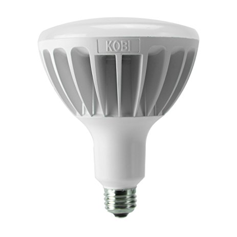 Kobi Electric R40-175-50 K3M0 ES-175W-Equal 5000K, Dimmable Light Bulb, White