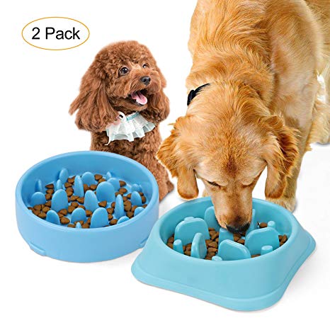 JASGOOD Slow Feeder Dog Bowl New Arriving Fun Feeder Slow Feeding Interactive Bloat Stop Dog Bowls