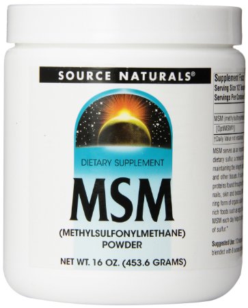 Source Naturals MSM Powder 1 Pound