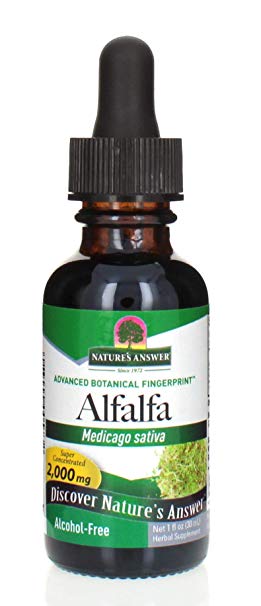 Nature's Answer Alcohol-Free Alfalfa Herb Extract, 1-Fluid Ounce Supports Immune System, Blood, Digestion, Energy Levels - Helps with Detoxification