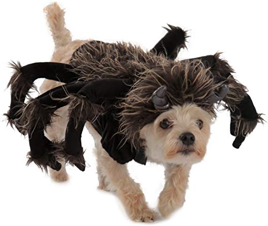 Princess Paradise Tarantula Dog Costume