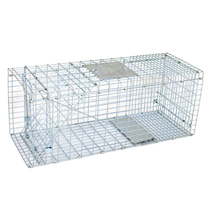 ZENY Live Animal Cage Trap 32" Steel Cage Catch Release Humane Rodent Cage for Rabbits, Stray Cat, Squirrel, Raccoon, Mole, Gopher, Chicken, Opossum, Skunk & Chipmunks (32 Inch)