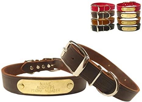 Warner Cumberland Leather Dog Collar Free Engraved Brass ID tag USA