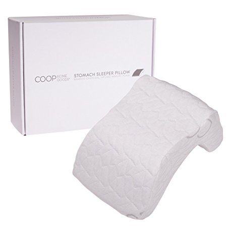Coop Home Goods - Bamboo Charcoal Infused Office Nap or Stomach Sleeper Pillow with Viscose Rayon derived from Bamboo Cover Best for Travel