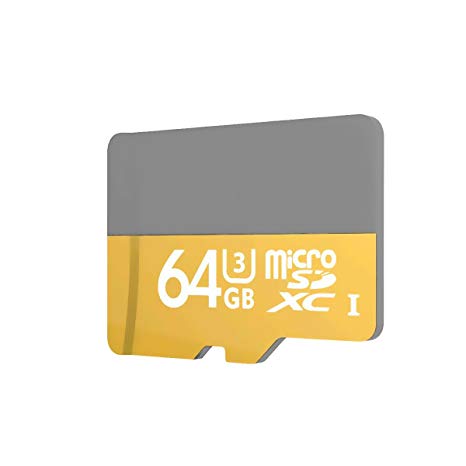64GB 100MB/s (U3) MicroSD EVO Select Memory Card with Adapter (001)