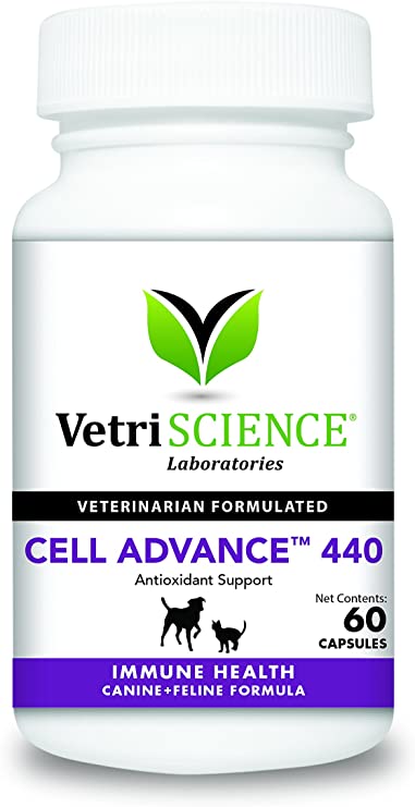 VetriScience Laboratories - Cell Advance 440, Immune Health Formula for Dogs & Cats, 60 Capsules