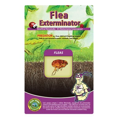10 Million Live Beneficial Nematodes Sc - Flea and Fly Exterminator