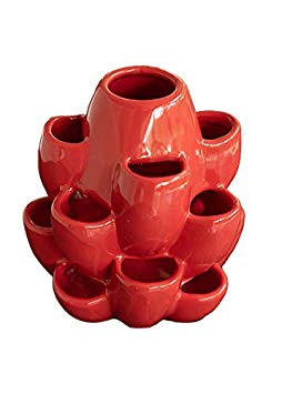 Exaco Multi Purpose Ceramic Planter for Succulents, Herbs, Small Cacti, Cut Flowers & Strawberries, Red