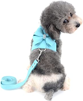 Ranphy Dog Harness and Matching Leash Set Girl Bling Rhinestone No-Pull Puppy Vest Doggie Cat Walking Training Harness Soft Suede Leather Collar Adjustable for Yorkie Chihuahua Small Pet Dog Blue M