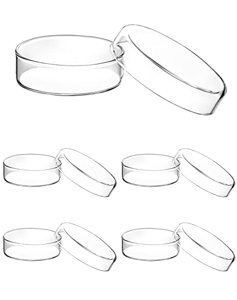 QWORK Glass Petri Dish Petri Plates with Lid, Thicken, 60mm x 18mm, 5 Pack