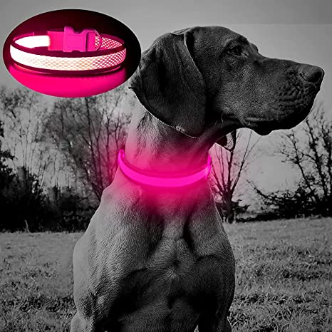 BSEEN LED Lighted Dog Collar - Glow in The Dark Adjustable Puppy Collars, Rechargeable Mesh Reflective Pet Collar for Night Dog Walking (Rose Red-Small-Collar)