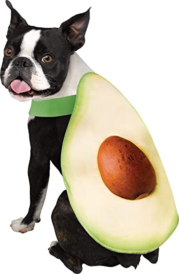 Fun World Pet Avocado Dog Costume XS