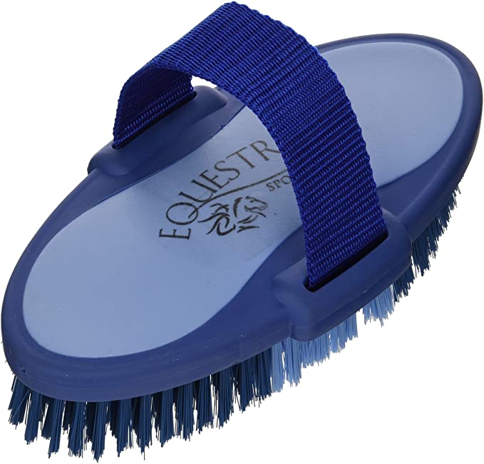 Equestria Oval Body Brush Size: Large (2" H x 4" W x 7.5" D), Color: Blue