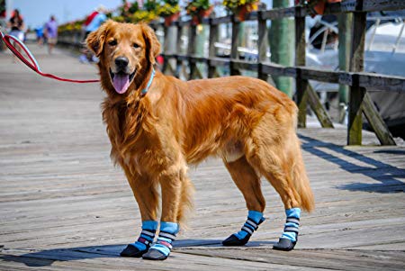 Bark Brite New Lightweight Neoprene Paw Protector Dog Boots Designed for Comfort and Breathability in 5 Sizes