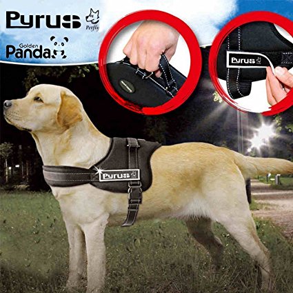 Dog Harness, PYRUS K8 No Pull Harness Dog Leash Padded Pet Walking Harness Heavy Duty for Dogs