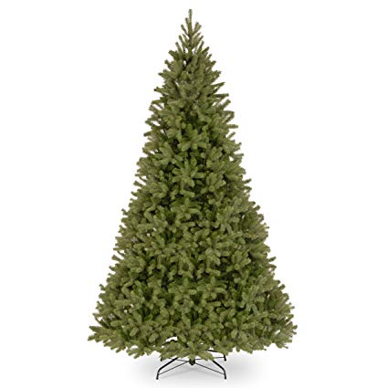 National Tree Douglas 10' Downswept Fir Tree