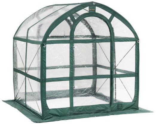 Flower House FHSP300CL SpringHouse Greenhouse, Clear