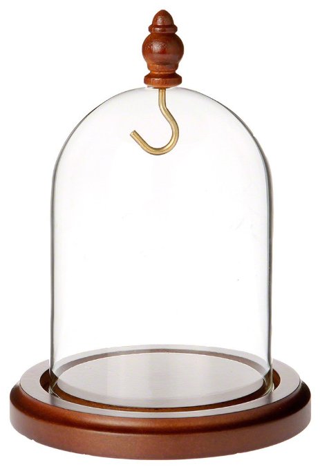 Plymor Brand Glass Watch Display Dome with Walnut Base with Brass Hook & Walnut Knob - 3" x 4"
