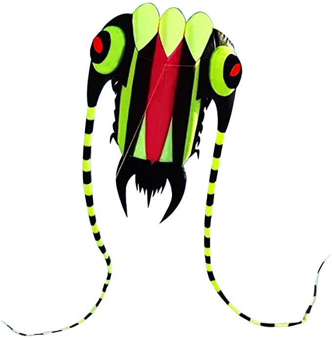 HENGDA KITE-Large Easy Flyer Soft Kite for Kids-Colorful Trilobite-It's Big! 30 Inches Wide with Two 130 Inches Long Tails-Perfect for Beach or Park (Green)
